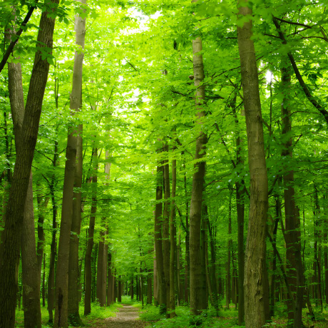 多道工序 層層把關(guān)
